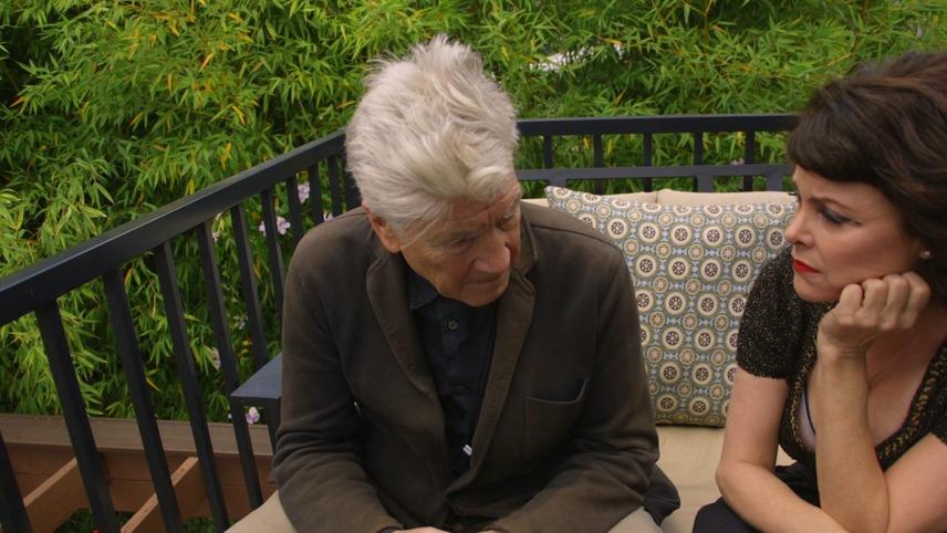 The Man with the Gray Elevated Hair